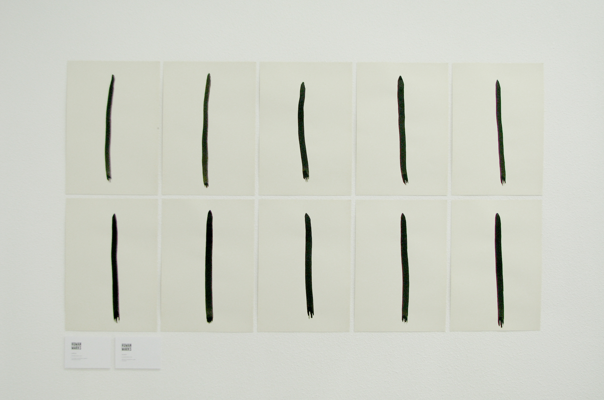 Emanuela Voinescu - Selflines - 2016